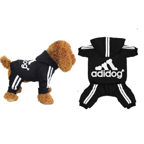 dog sweatsuit